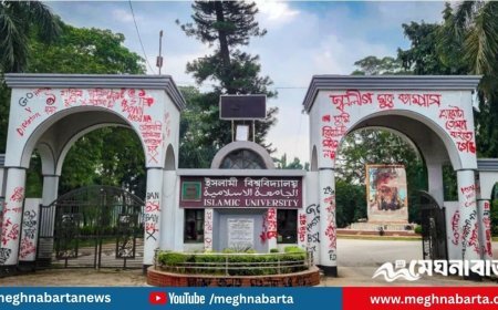 ইবিতে জুলাইবিরোধী ৩০ শিক্ষক-কর্মকর্তা বরখাস্ত, ৩৩ ছাত্রলীগ নেতার সনদ বাতিল