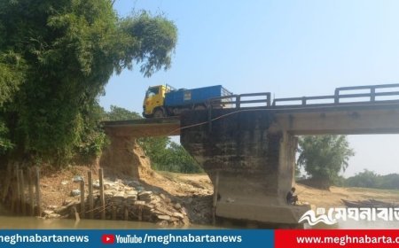 নেত্রকোনায় ঝুঁকিতে নল্লাপাড়া সেতু, জীবনের ঝুঁকি নিয়েই পারাপার