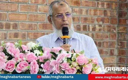 ফেব্রুয়ারির প্রথমার্ধেই জাতীয় নির্বাচন আয়োজনের প্রস্তুতি সম্পন্ন : ইসি আনোয়ারুল