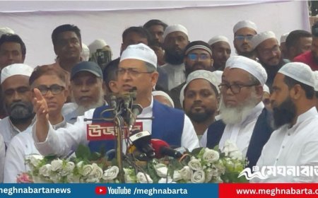 “আমরা মওদুদী নয়, মদিনার ইসলামের অনুসারী”: সালাহউদ্দিন আহমদ