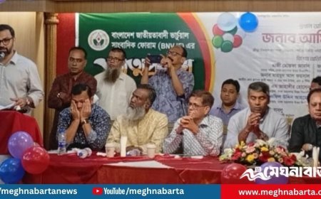 ১৯৭১ সালেই জাতি জামায়াতকে চিনেছে, নতুন করে চিনার কিছু নেই : আমিনুল