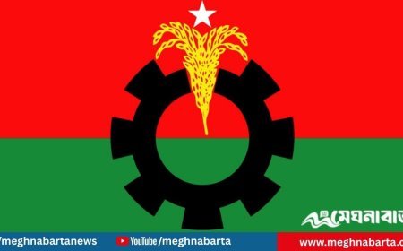 ভোলা সদর উপজেলা বিএনপি কমিটির কার্যক্রম স্থগিত