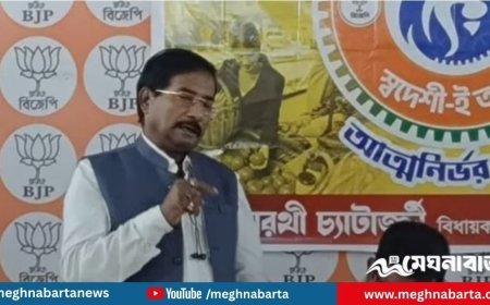 বিজেপি জিতলে ‘এক হবে দুই বাংলা’—চাঞ্চল্যকর মন্তব্যে বিজেপি এমপি