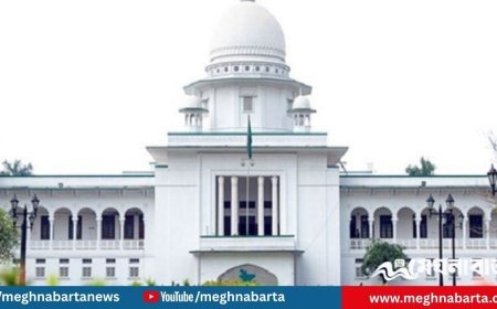 তত্ত্বাবধায়ক বাতিলের রায়ই আজকের রাজনৈতিক অস্থিরতার মূল : বিএনপির আইনজীবী