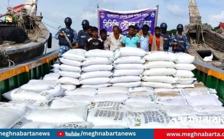 মাদকের বিনিময়ে বিপুল পরিমাণ সার পাচার: আটক ৯