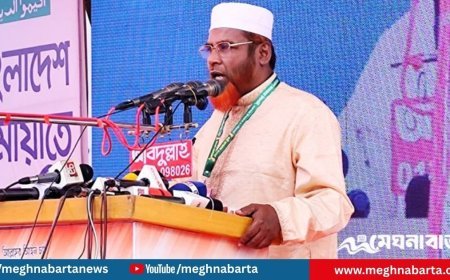 গোপন সমঝোতায় আরপিও বাতিল হবে অগণতান্ত্রিক সিদ্ধান্ত: গোলাম পরওয়ার