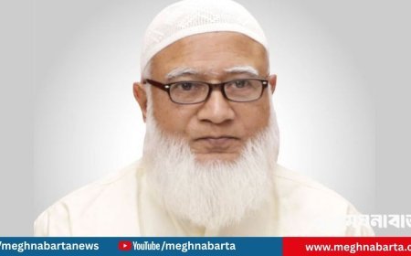 সর্বোচ্চ ভোট পেয়ে ফের জামায়াতের আমির হলেন ডা. শফিকুর রহমান