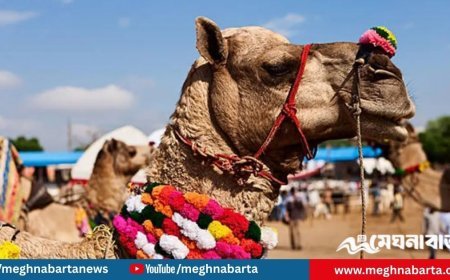 মরুভূমিতে ঐতিহ্যবাহী উটের মেলা, রাজস্থানে পর্যটকদের ঢল