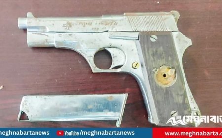 রাজশাহীতে পুকুর পাড় থেকে বিদেশি পিস্তল উদ্ধার