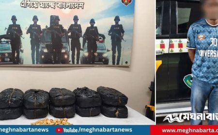 তিন লাখ টাকার গাঁজা নিয়ে র‌্যাবের জালে যুবক