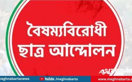 ‘বিপ্লবীরা কারো হাতের পুতুল নয়’— পদত্যাগ করলেন বরিশাল বিশ্ববিদ্যালয় বৈছাআ নেতা রাকিব