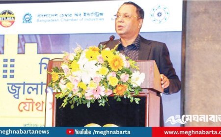 “১৯৭১-এ বুদ্ধিজীবী, ২০২৫-এ হত্যা করা হচ্ছে শিল্পোদ্যোক্তাদের”—বিটিএমএ সভাপতি