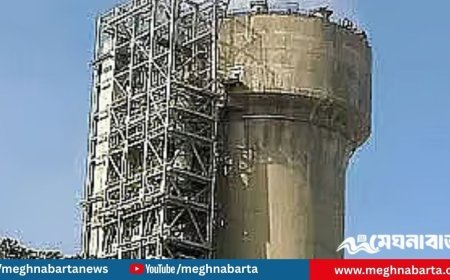 একদিনের মধ্যেই বন্ধ হয়ে গেল দেশের অন্যতম প্রধান ইউরিয়া সার কারখানা