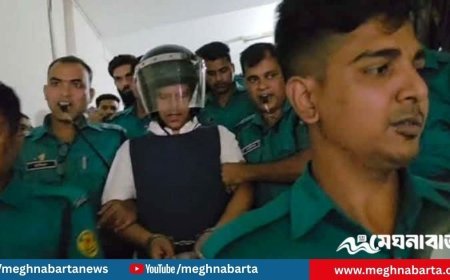 দুই দিনের রিমান্ডে ক্যাসিনোকাণ্ডে সেলিম প্রধান