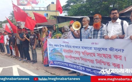 ঢাকা-বরিশাল মহাসড়কে ঝুঁকিপূর্ণ সেতু পুনর্নির্মাণের দাবি