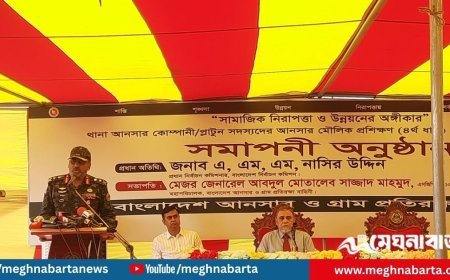 সাড়ে ৫ লাখ আনসার-ভিডিপি নির্বাচনে মোতায়েন, হবে এসবির কঠোর ভেরিফিকেশন