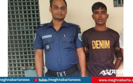 পীরগঞ্জে ৩ সাংবাদিককে মারধর, গ্রেপ্তার ১