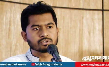 ‘নিজ দলের প্রতীকে লড়ার সাহস কজনের আছে?’- নুর