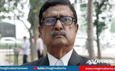 কিশোরগঞ্জ-৪ আসনে বিএনপির প্রার্থী ফজলুর রহমান