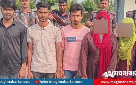 অনুপ্রবেশের সময় ভারত থেকে আসা ৭ বাংলাদেশি নাগরিক আটক