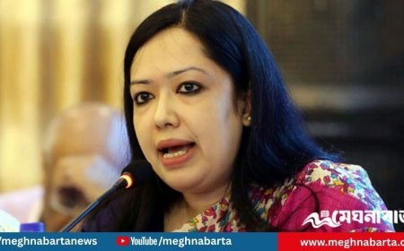 বিএনপির প্রার্থী তালিকায় নেই রুমিন ফারহানার নাম