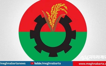 বিএনপির প্রার্থী তালিকা থেকে বাদ পড়লেন অনেক হেভিওয়েট নেতারা