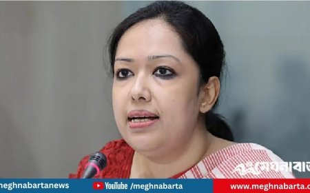 মনোনয়ন না পেয়ে যা বললেন রুমিন ফারহানা