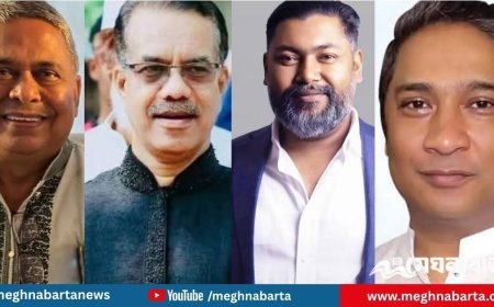গাজীপুরের চারটি আসনে বিএনপির প্রার্থী যারা