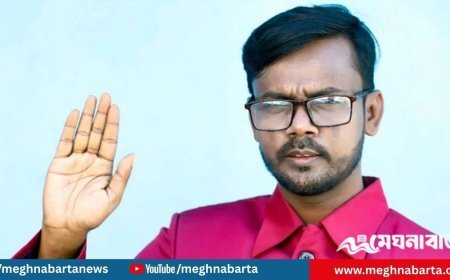 যে দুই আসন থেকে এমপি নির্বাচন করবেন হিরো আলম