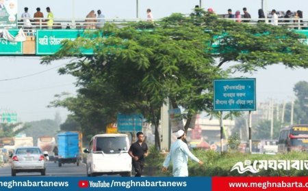 ফুট ওভারব্রিজ ব্যবহারে অনীহা, কুমিল্লার মহাসড়কে বেড়ে চলছে দুর্ঘটনা