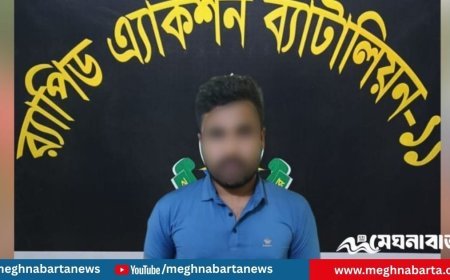কুষ্টিয়ার আলোচিত জোড়া খুনের মূলহোতাকে নারায়ণগঞ্জ থেকে গ্রেপ্তার