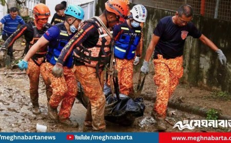 ফিলিপাইনে ভয়াবহ ঘূর্ণিঝড় ‘কালমায়েগি’: প্রাণহানি ৬৬, বিপর্যস্ত সেবু দ্বীপ