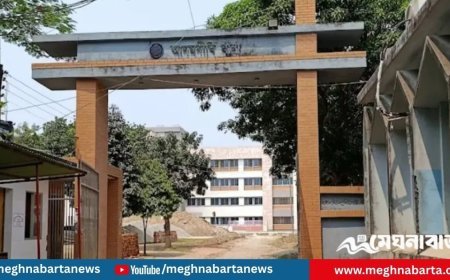 বিড়ালের গলা কেটে হত্যার ঘটনায় নারীর বিরুদ্ধে জিডি