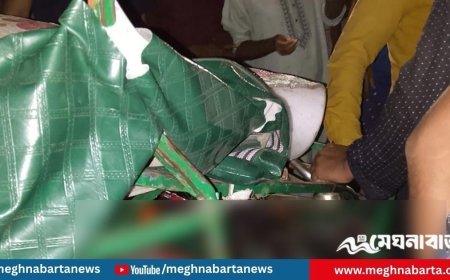 নেত্রকোনায় বাসচাপায় অটোরিকশাচালক নিহত