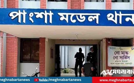 রাজবাড়ীতে আসা‌মি ধর‌তে গিয়ে হামলার শিকার পুলিশ, আহত ৩