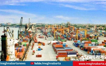 পাখির খাদ্যের আড়ালে পাকিস্তান থেকে এলো ২৫ টন নিষিদ্ধ মাদকদ্রব্য