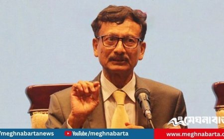 জাতিসংঘে আওয়ামী লীগের চিঠিতে কোনো ফল মিলবে না: তৌহিদ হোসেন