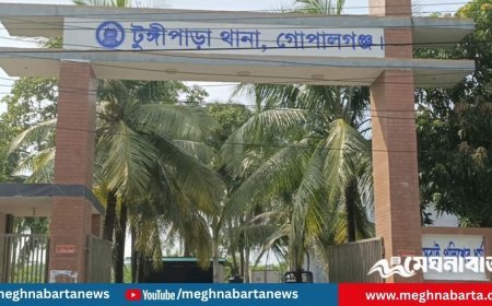 টুঙ্গিপাড়া আওয়ামী লীগের ২ নেতা গ্রেপ্তার