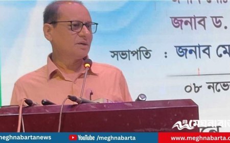 ‘সহকারী শিক্ষকদের একবারে দশম গ্রেডে আসার যুক্তি নেই’: গণশিক্ষা উপদেষ্টা