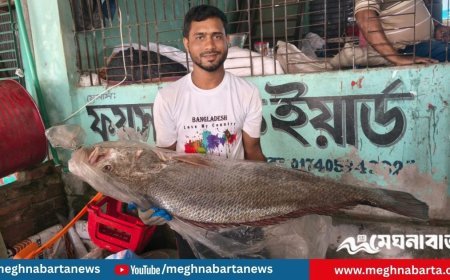 জেলের জালে ধরা পড়ল ২১ কেজির ‘ব্ল্যাক ডায়মন্ড’