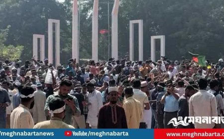 দুই উপদেষ্টার পদত্যাগ দাবি, উত্তাল শিক্ষক সমাজ শহীদ মিনারে অবস্থান