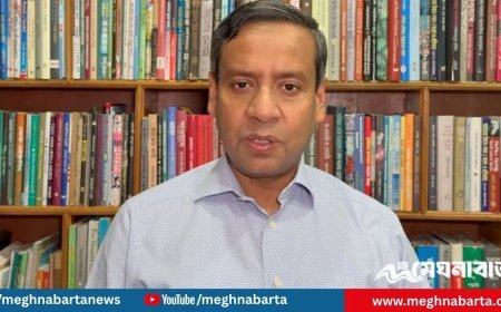 ভারত কৌশলগত চাপ বাড়াচ্ছে, মরণকামড় দিবে এমন দাবি গোলাম মাওলা রনির