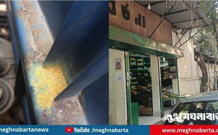 উপদেষ্টা ফরিদা আক্তারের ব্যবসায়িক প্রতিষ্ঠানে ককটেল বিস্ফোরণ