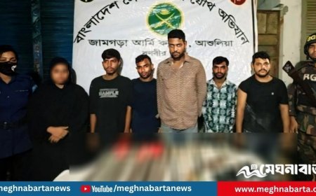 আশুলিয়ায় যৌথ বাহিনীর অভিযানে ৬ ছিনতাইকারী গ্রেপ্তার