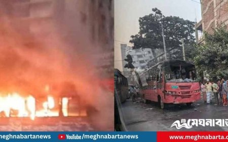 ঢাকায় দুই বাসে আগুন