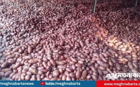 হিমাগার থেকে হাওয়া কৃষকের হাজার বস্তা আলু