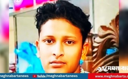 পাকুন্দিয়ায় বিদ্যুৎস্পৃষ্ট হয়ে প্রাণ গেল খামারির