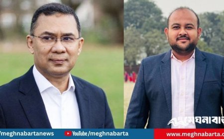 তারেক রহমানের জন্মদিনে ঢাবিতে ফ্রি মেডিকেল ক্যাম্প: হামিম