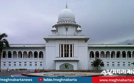 তত্ত্বাবধায়কব্যবস্থা পুনর্বহাল হবে কি না, জানা যাবে ২০ নভেম্বর