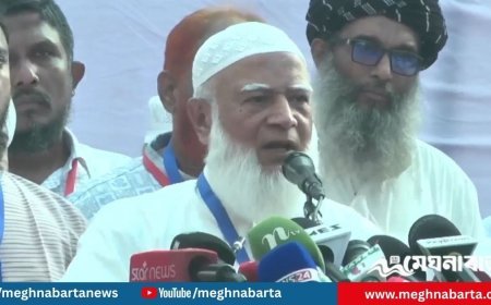 নির্বাচনের আগে গণভোট দিতে হবে: জামায়াত আমির